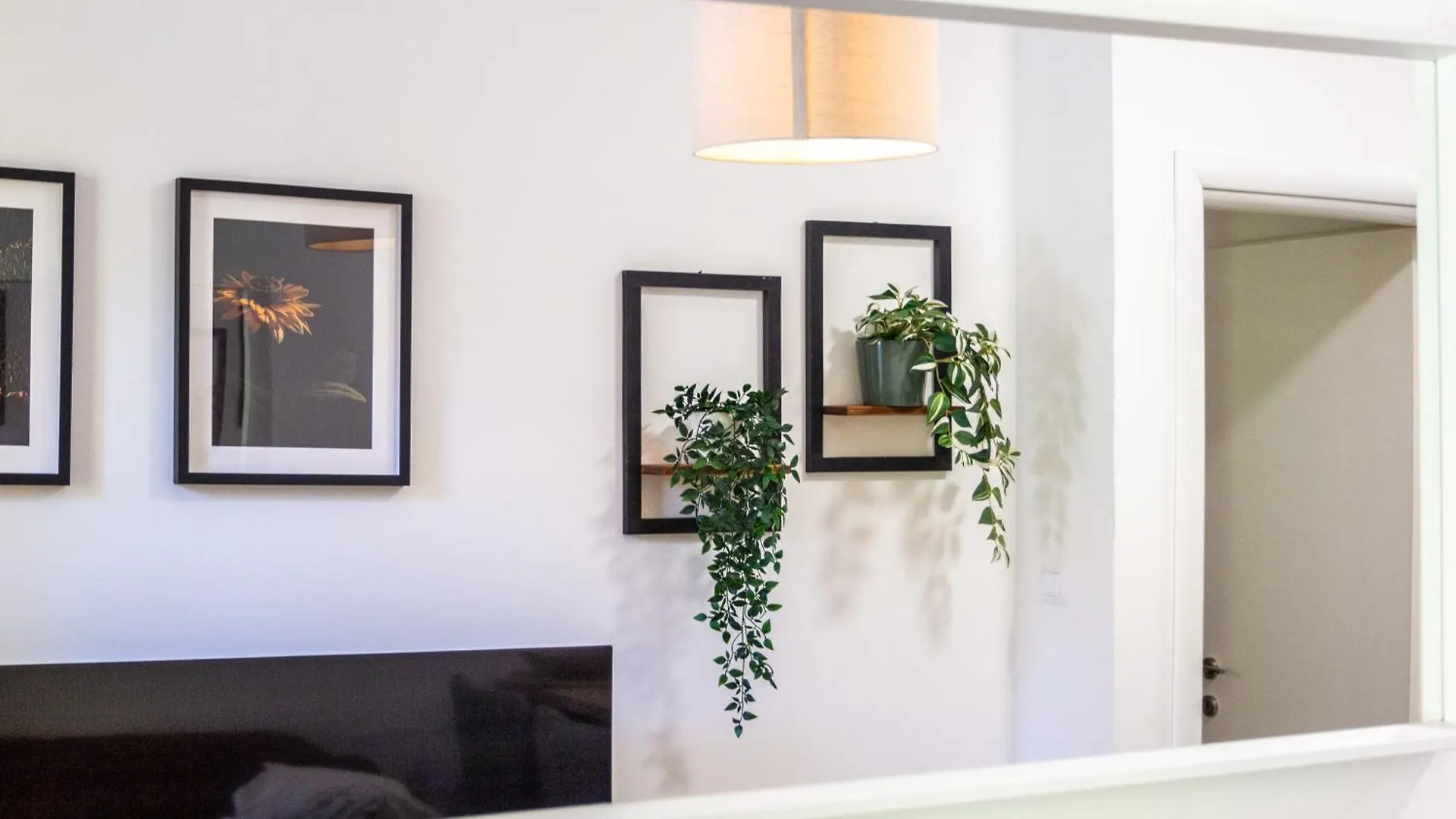 Apartment Green Point Split